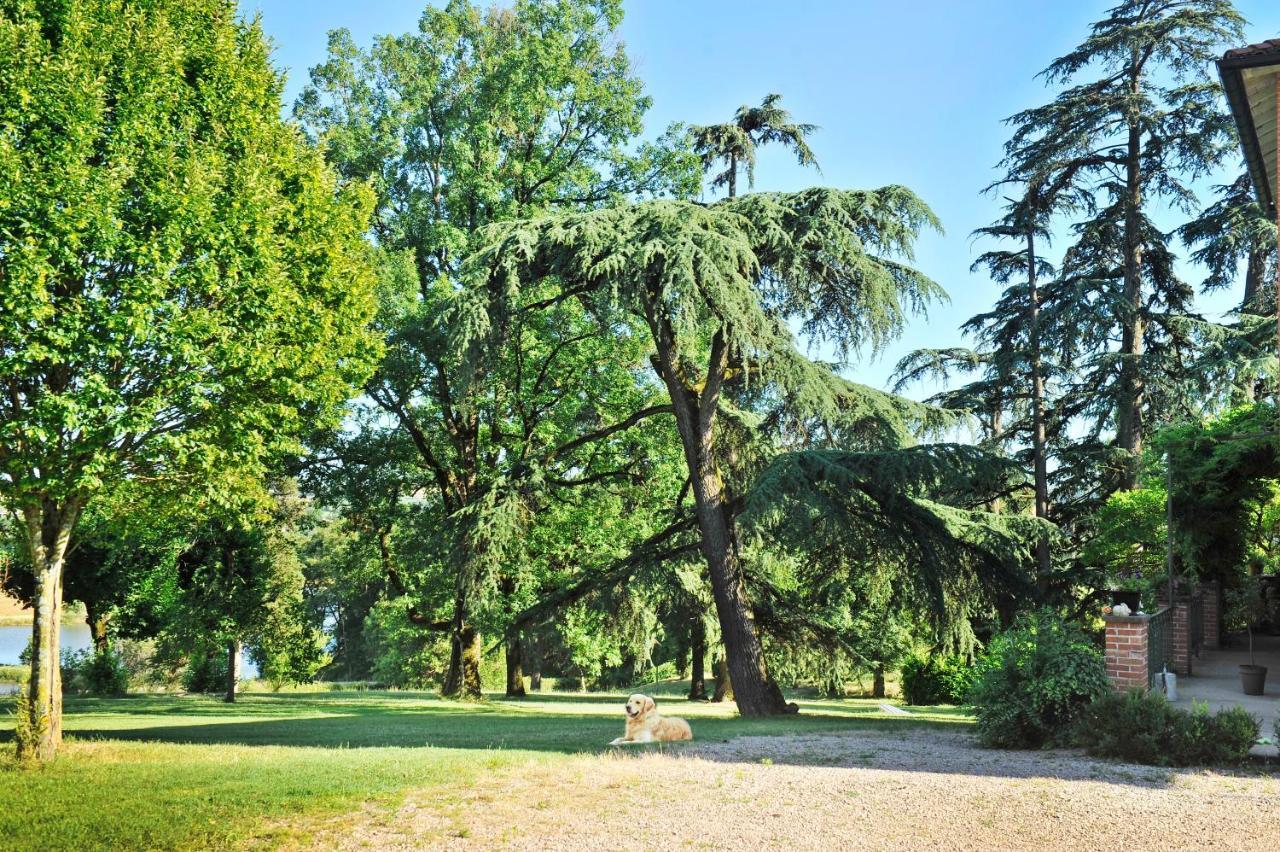 Clos Saint-Blaise Альби Экстерьер фото